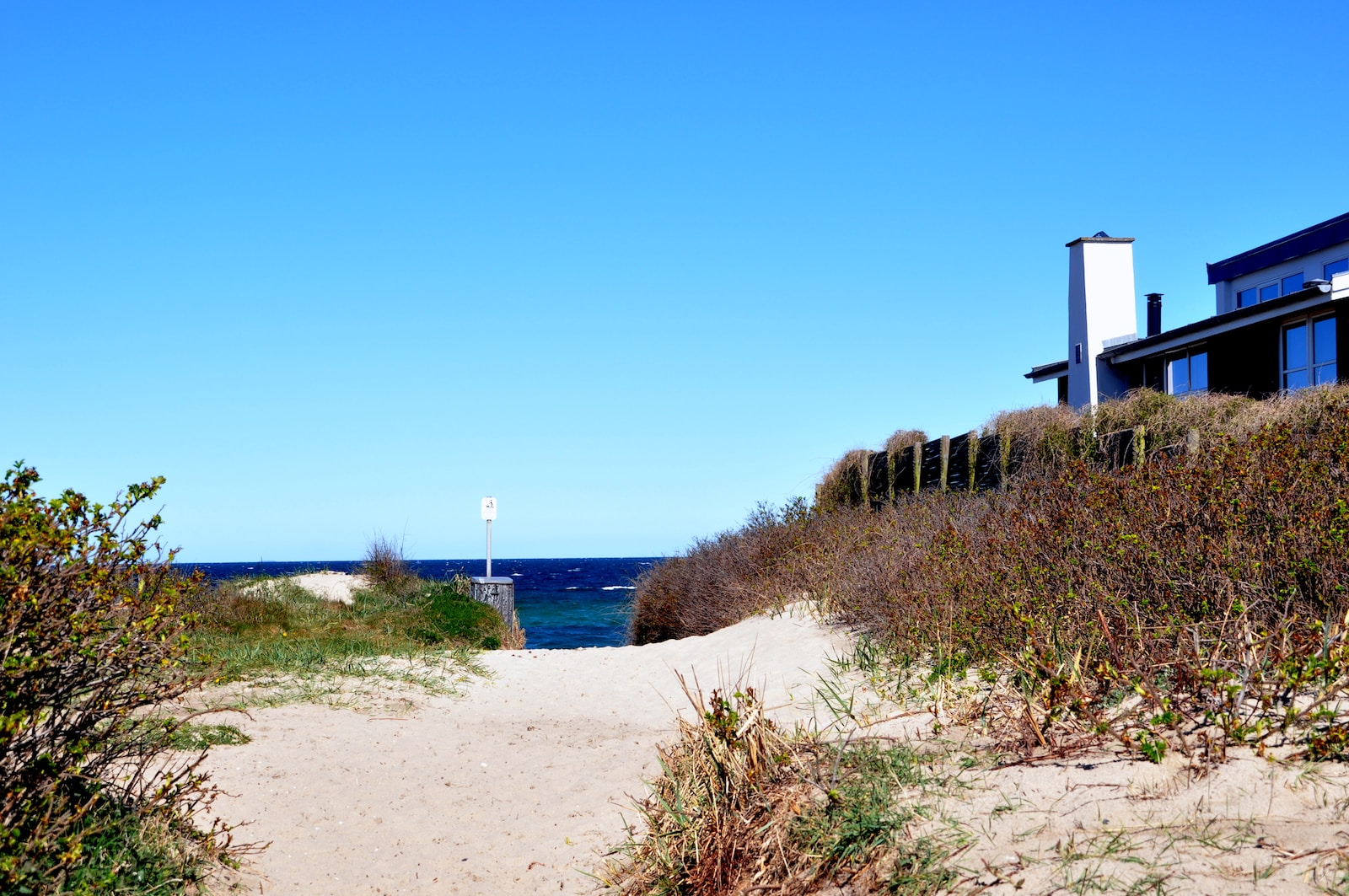 green grass on white sand near body of water during daytime